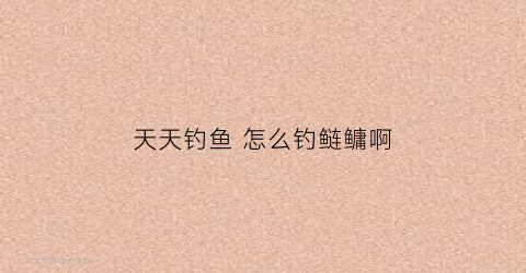 天天钓鱼怎么钓鲢鳙啊(天天钓鱼的人怎么挣钱)